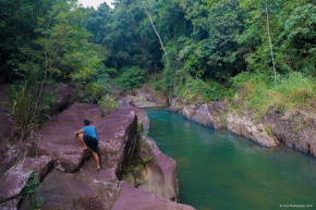 Jungle River